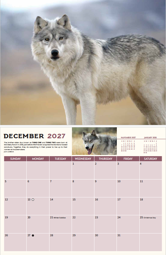 2027 Wolves Wall Calendar