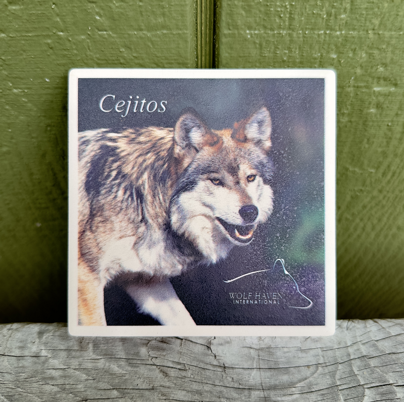 Ceramic Wolf Coaster