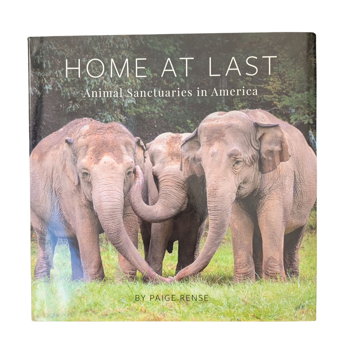 Home At Last: Animal Sanctuaries in America
