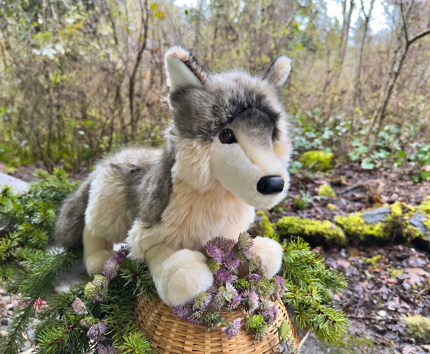 Smoke the Wolf