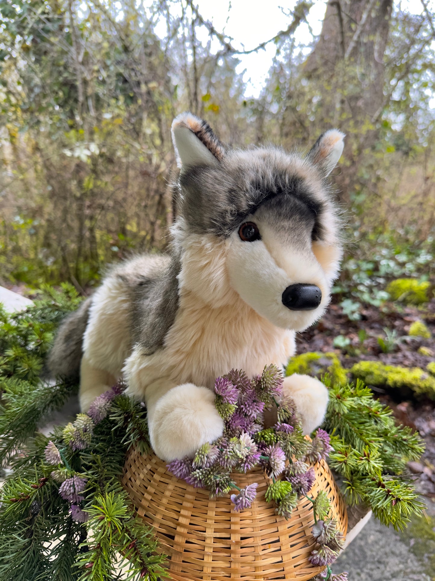 Smoke the Wolf