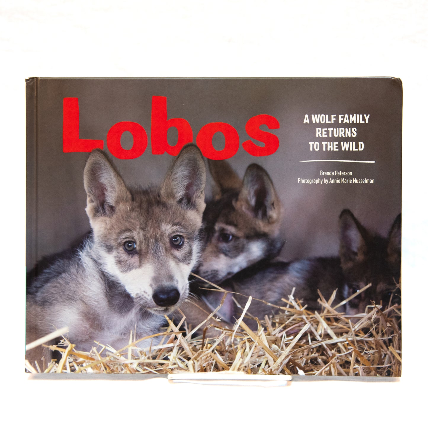 Lobos: A Wolf Family Returns to the Wild