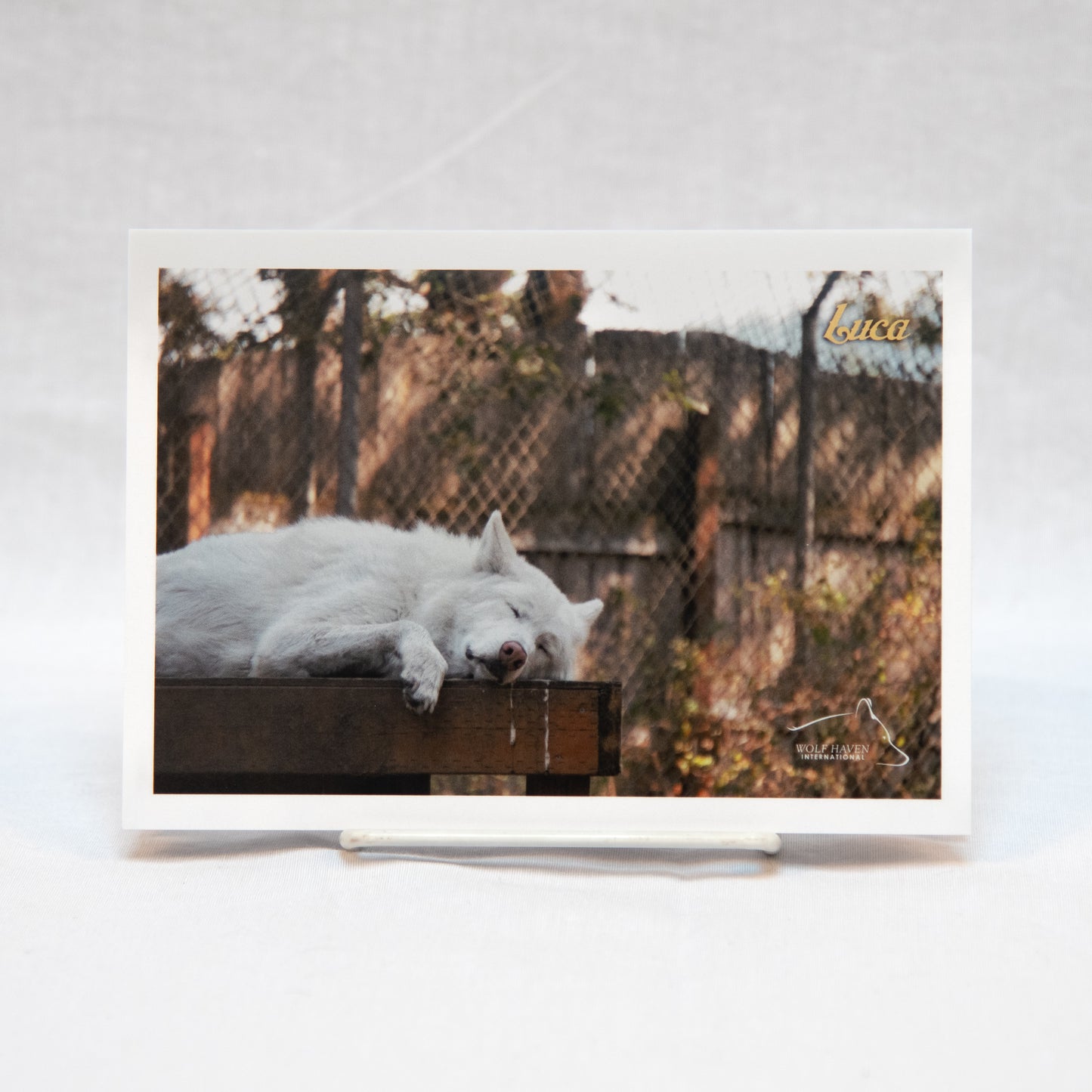 Paper Notecard