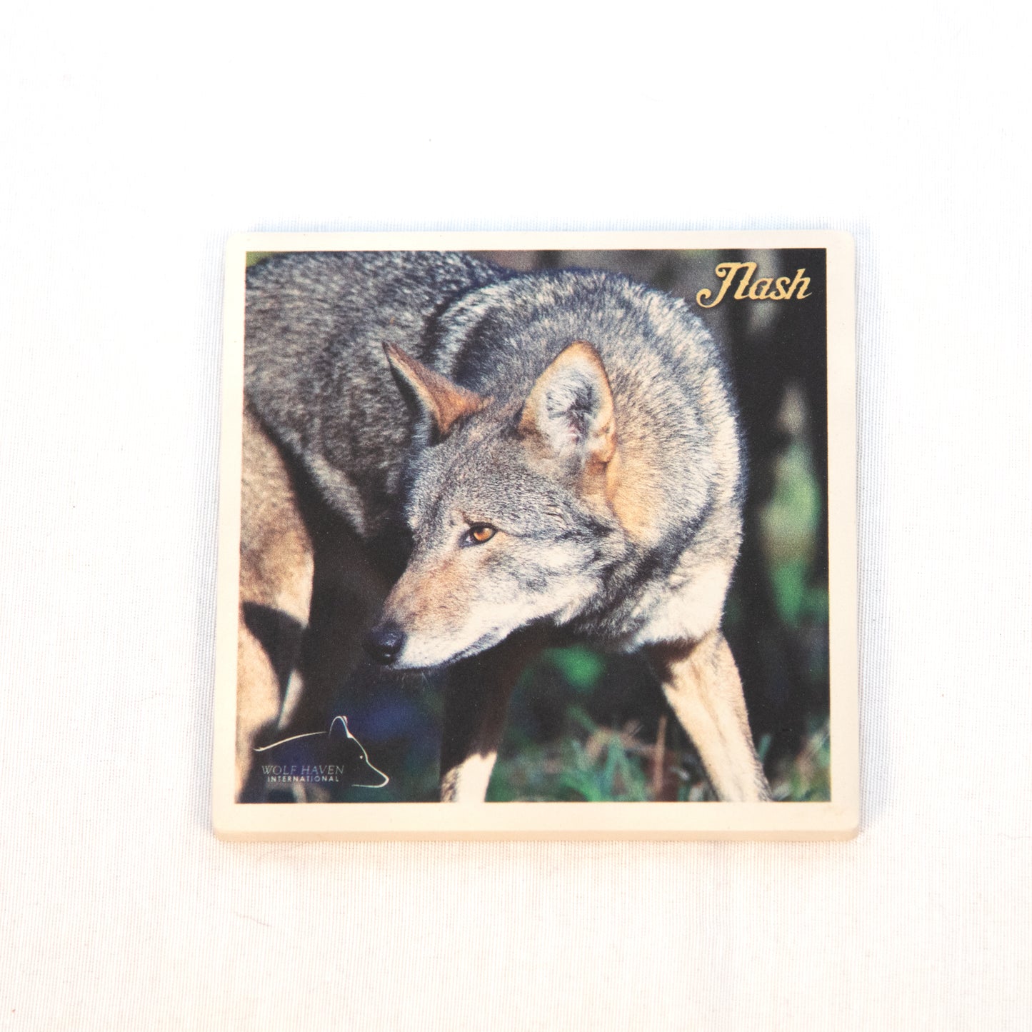 Ceramic Wolf Coaster