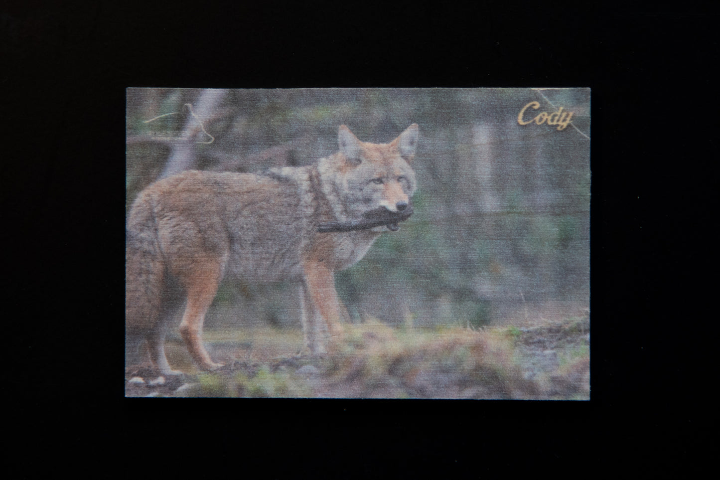 Resident Wolf Wood Magnet