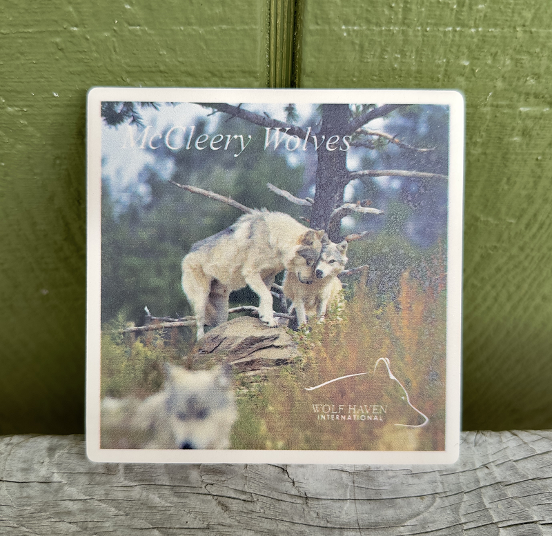 Ceramic Wolf Coaster