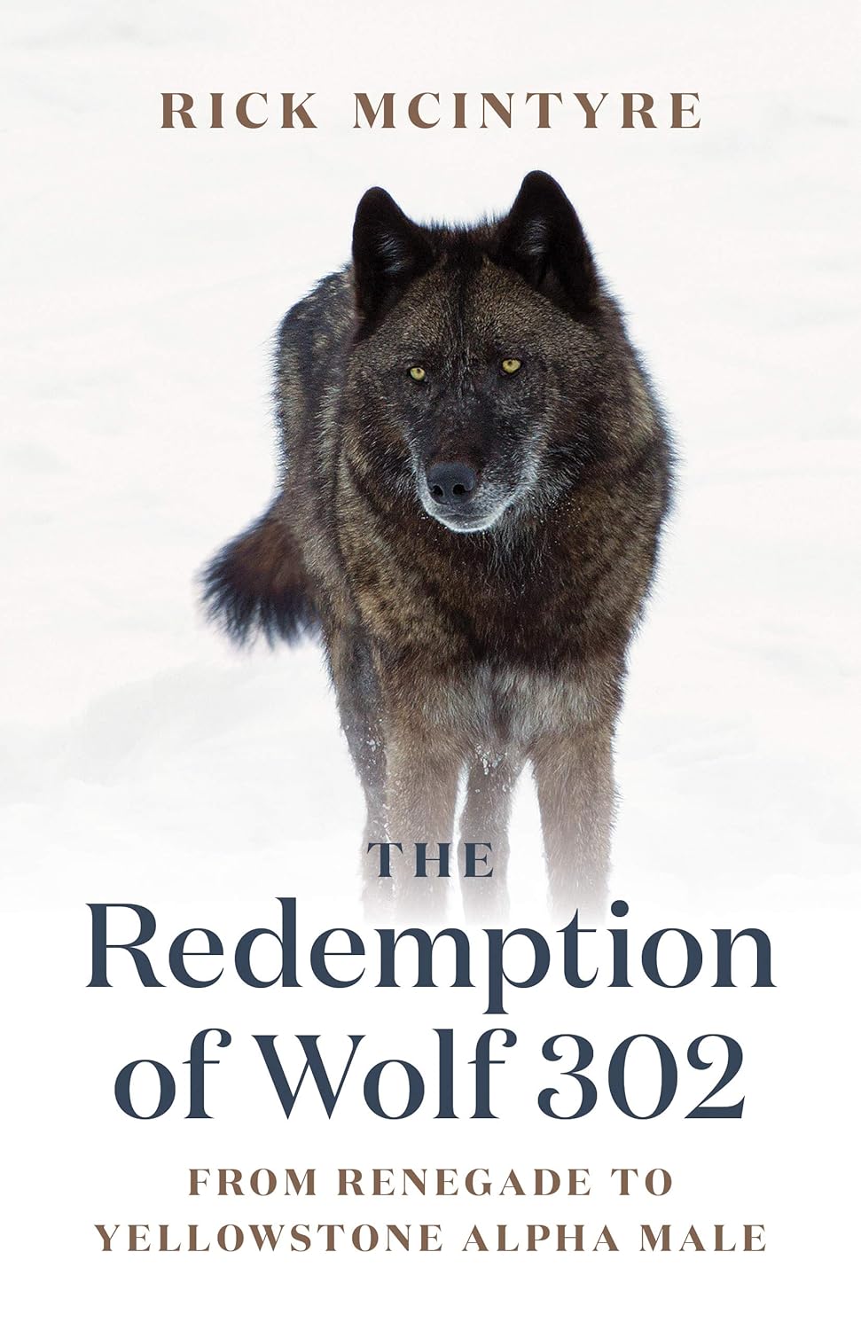 The Alpha Wolves of Yellowstone Series
