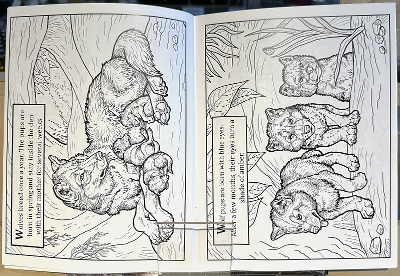 Wolves Coloring Book
