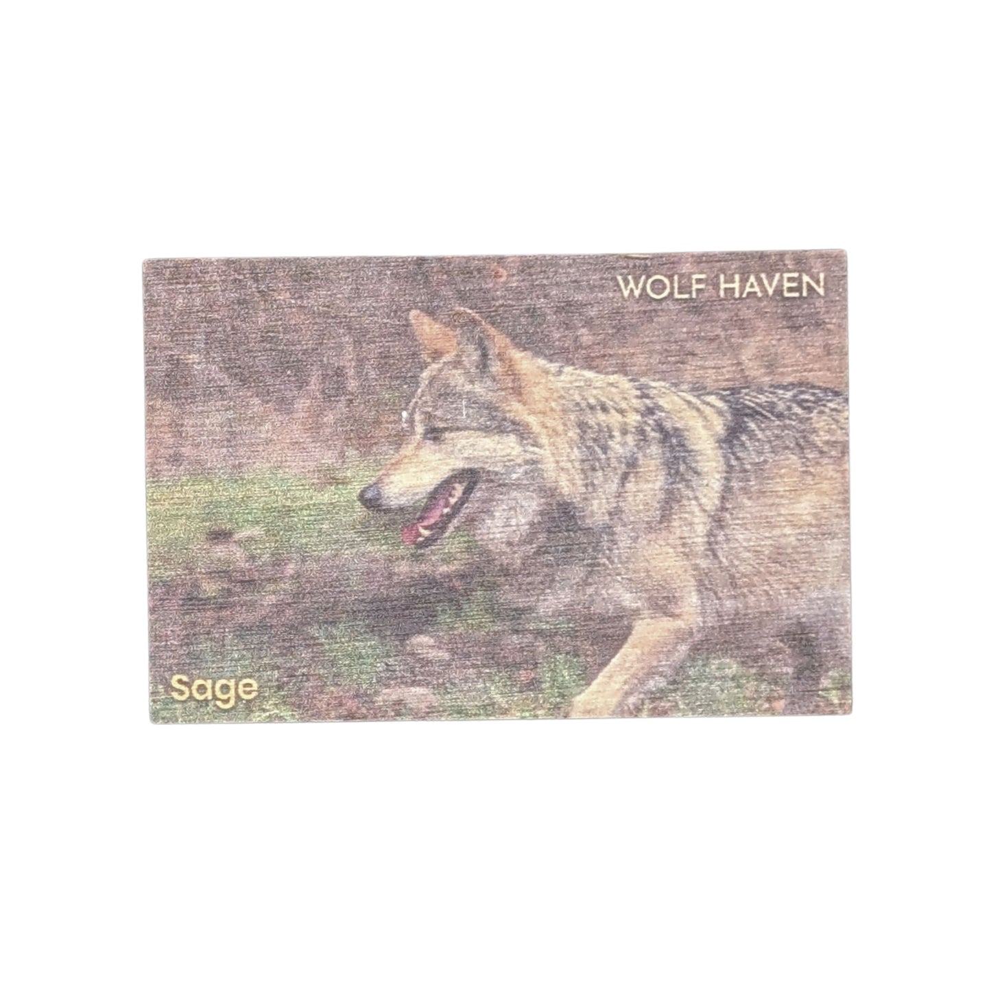Resident Wolf Wood Magnet