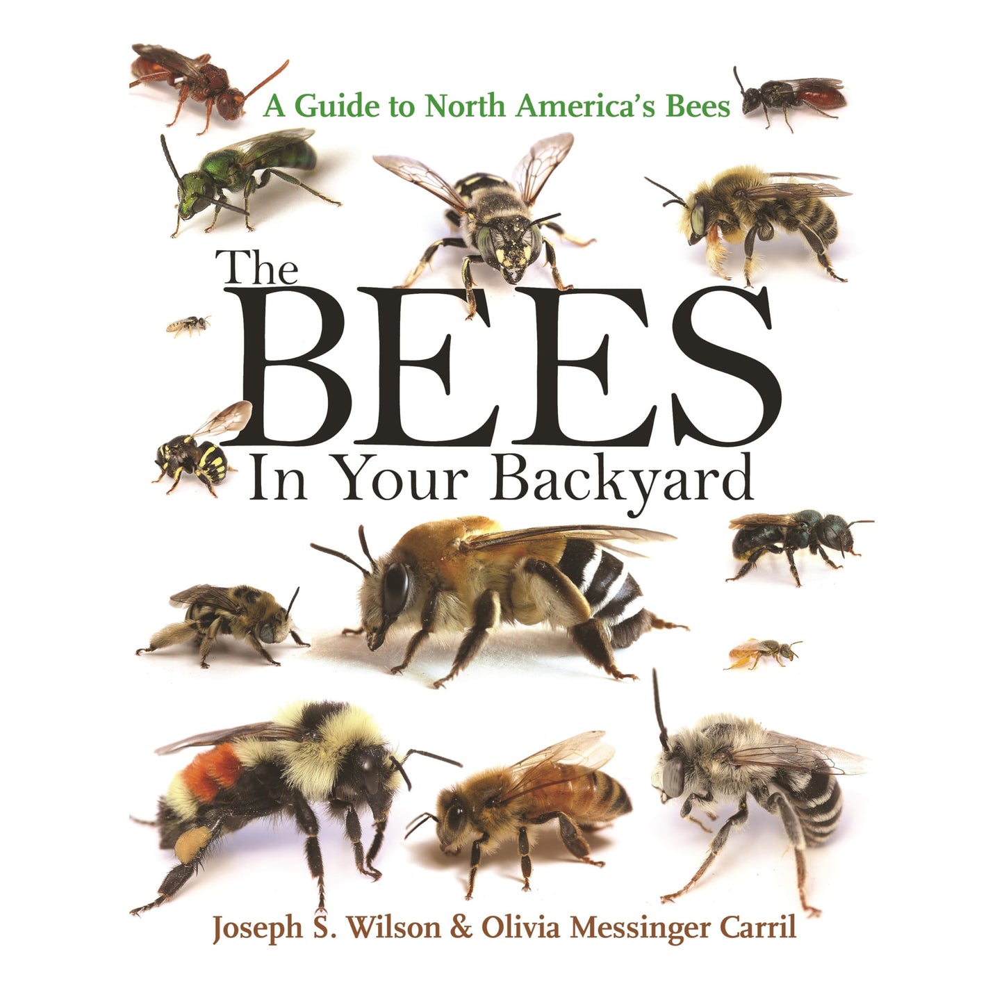 The Bees in Your Backyard: A Guide to North America's Bees