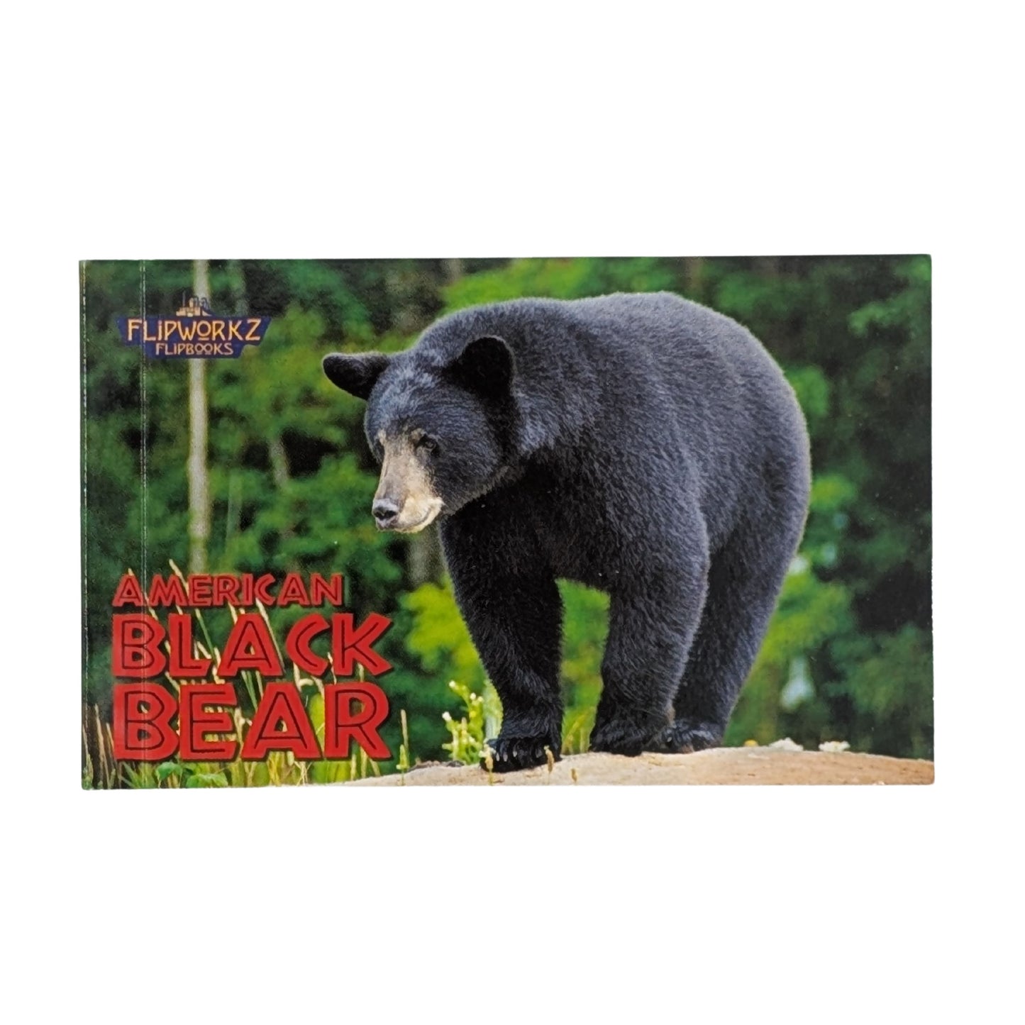 Educational Wildlife Flipbook