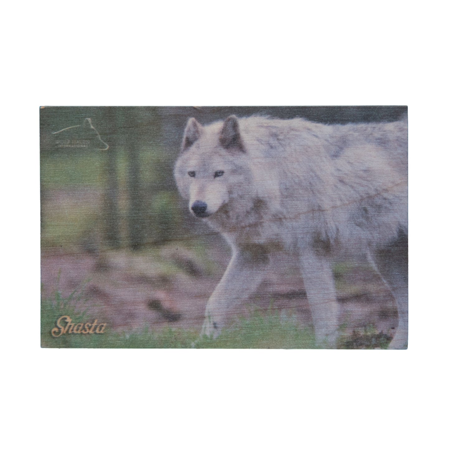 Resident Wolf Wood Magnet