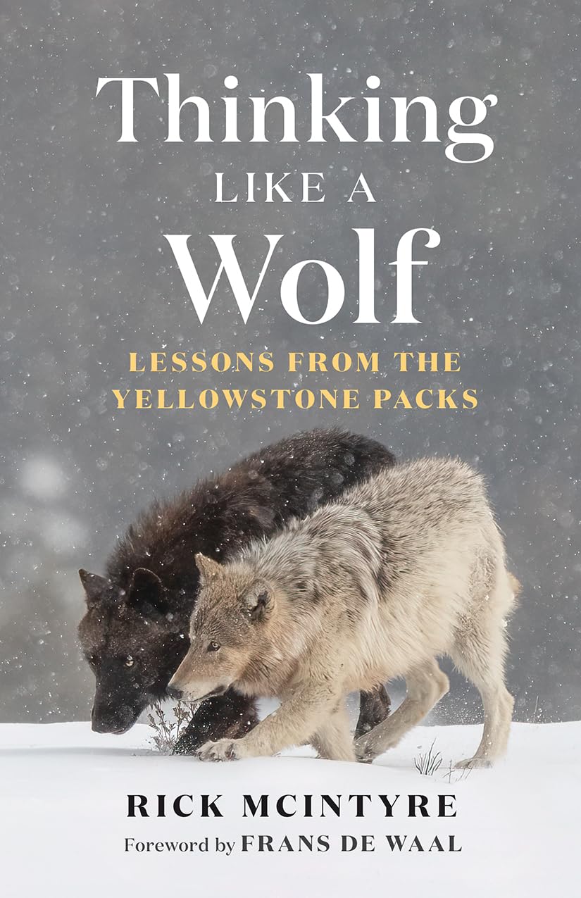 The Alpha Wolves of Yellowstone Series