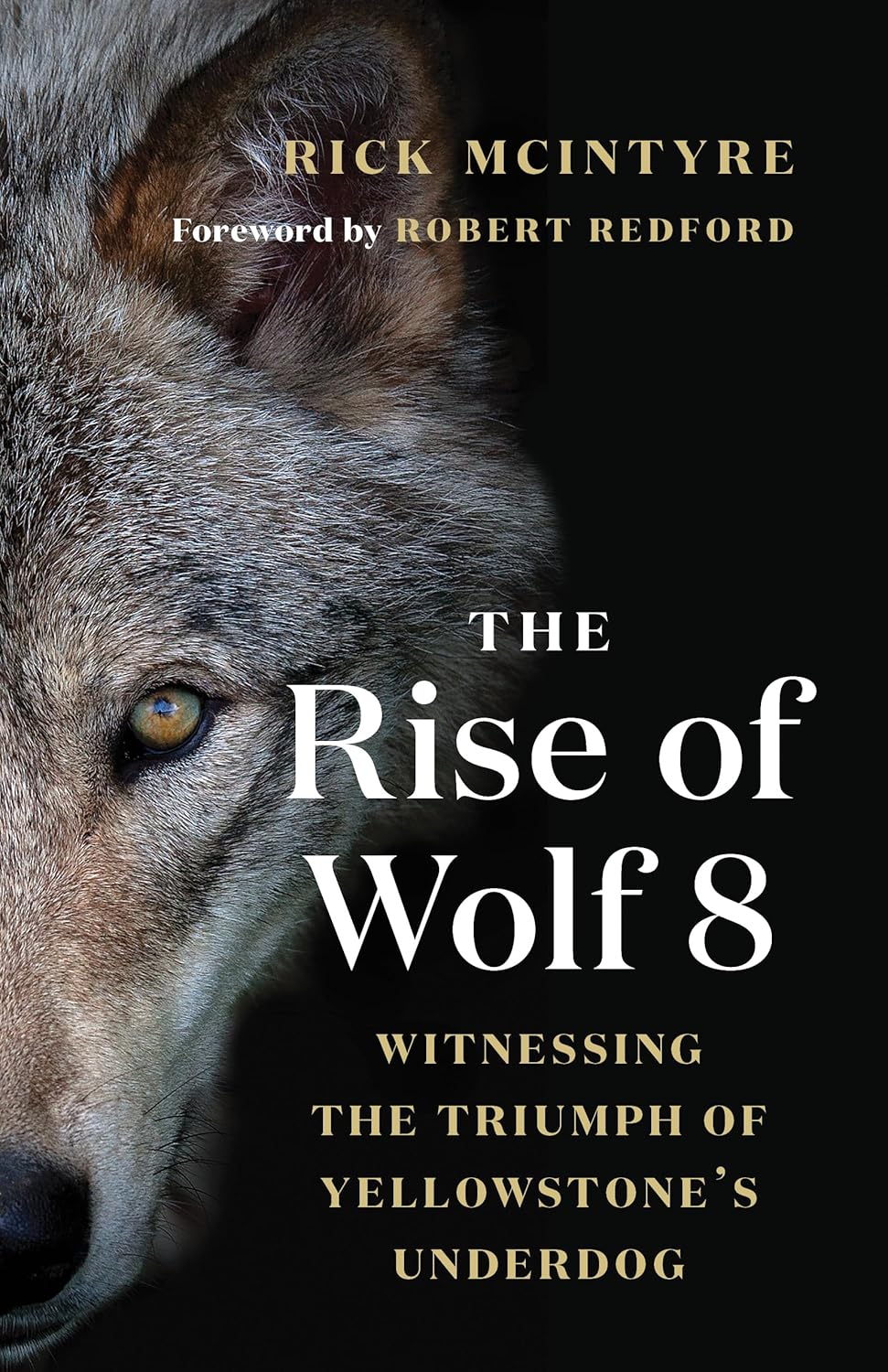 The Alpha Wolves of Yellowstone Series