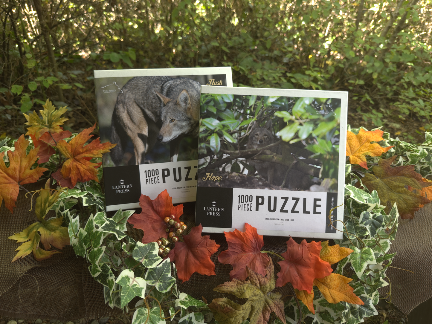 Wolf Haven Photo Puzzle