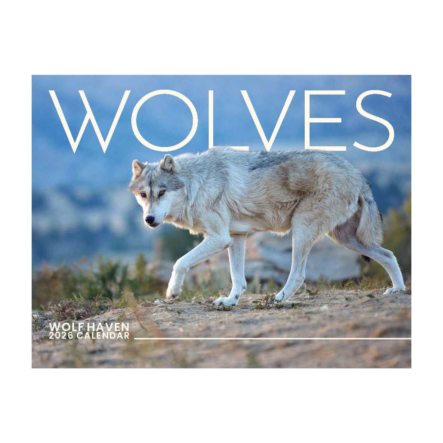 2026 Wolves Wall Calendar