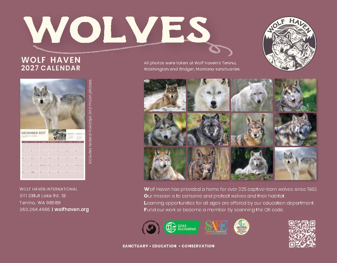 2027 Wolves Wall Calendar