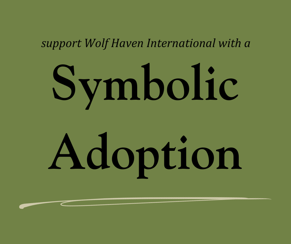 Symbolic Adoption