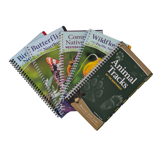 Adventure Quick Guides