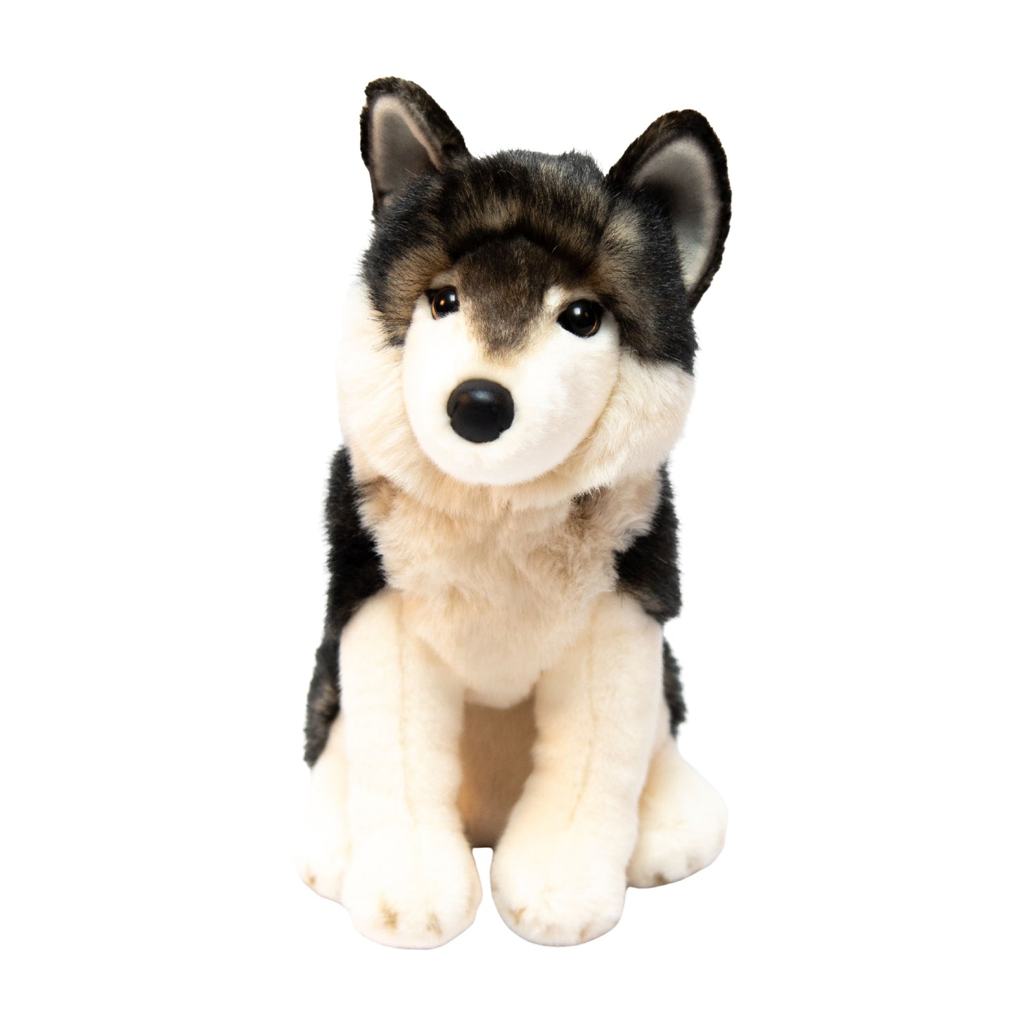Atka the Mexican Wolf