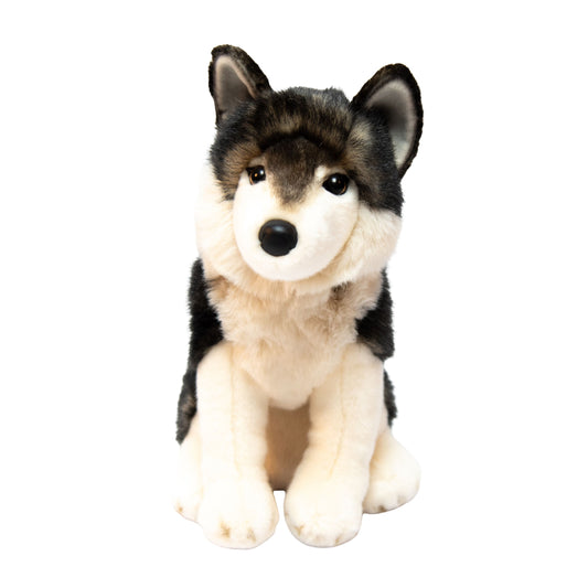 Atka the Mexican Wolf