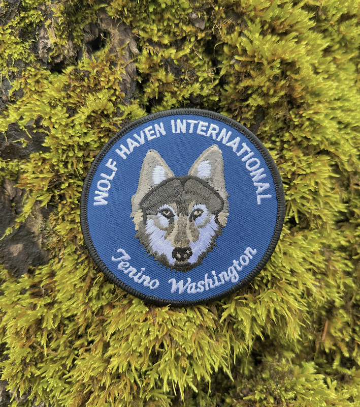 Vintage Patch: Blue Wolf Head