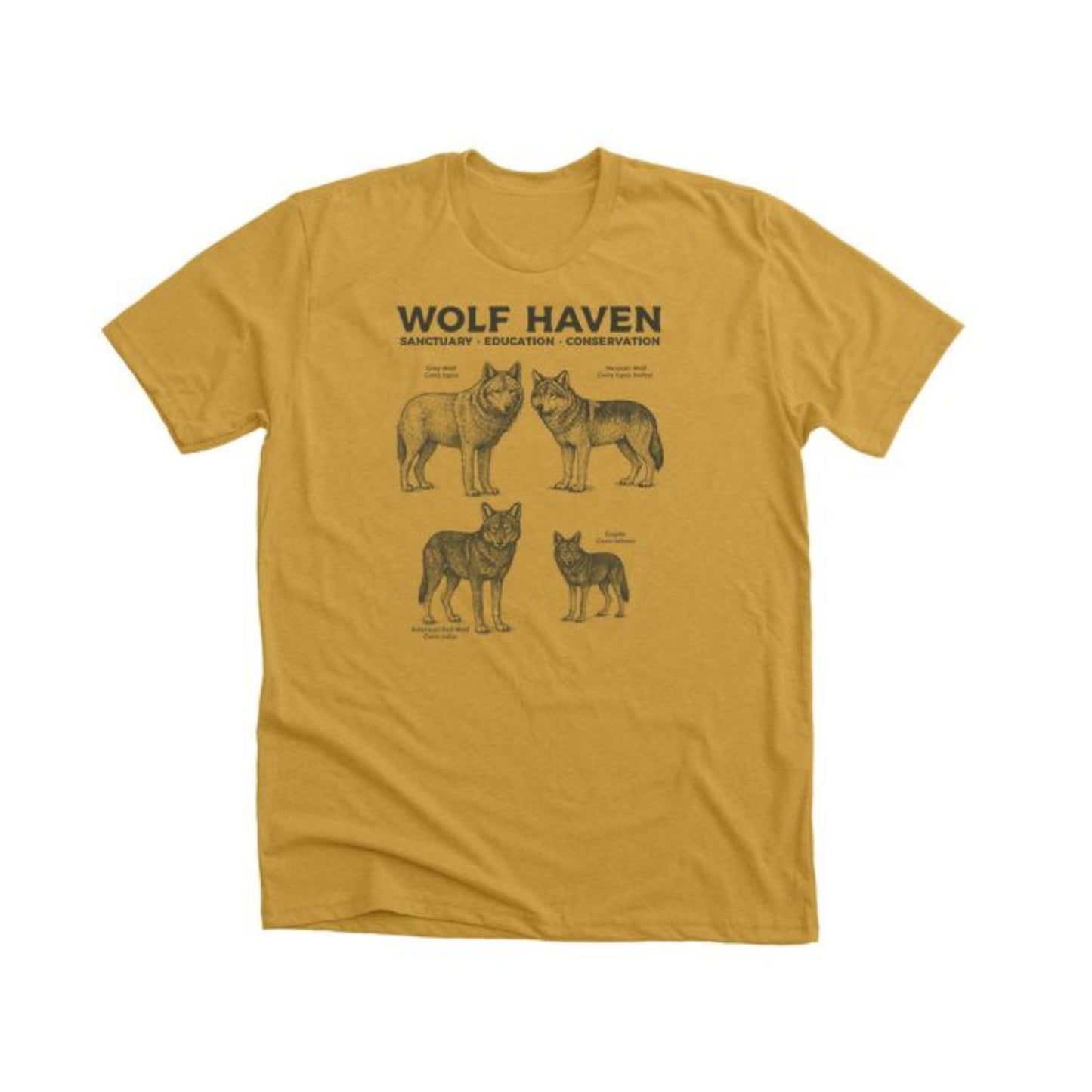 Canid Species Design by Wolf Haven X Bonfire