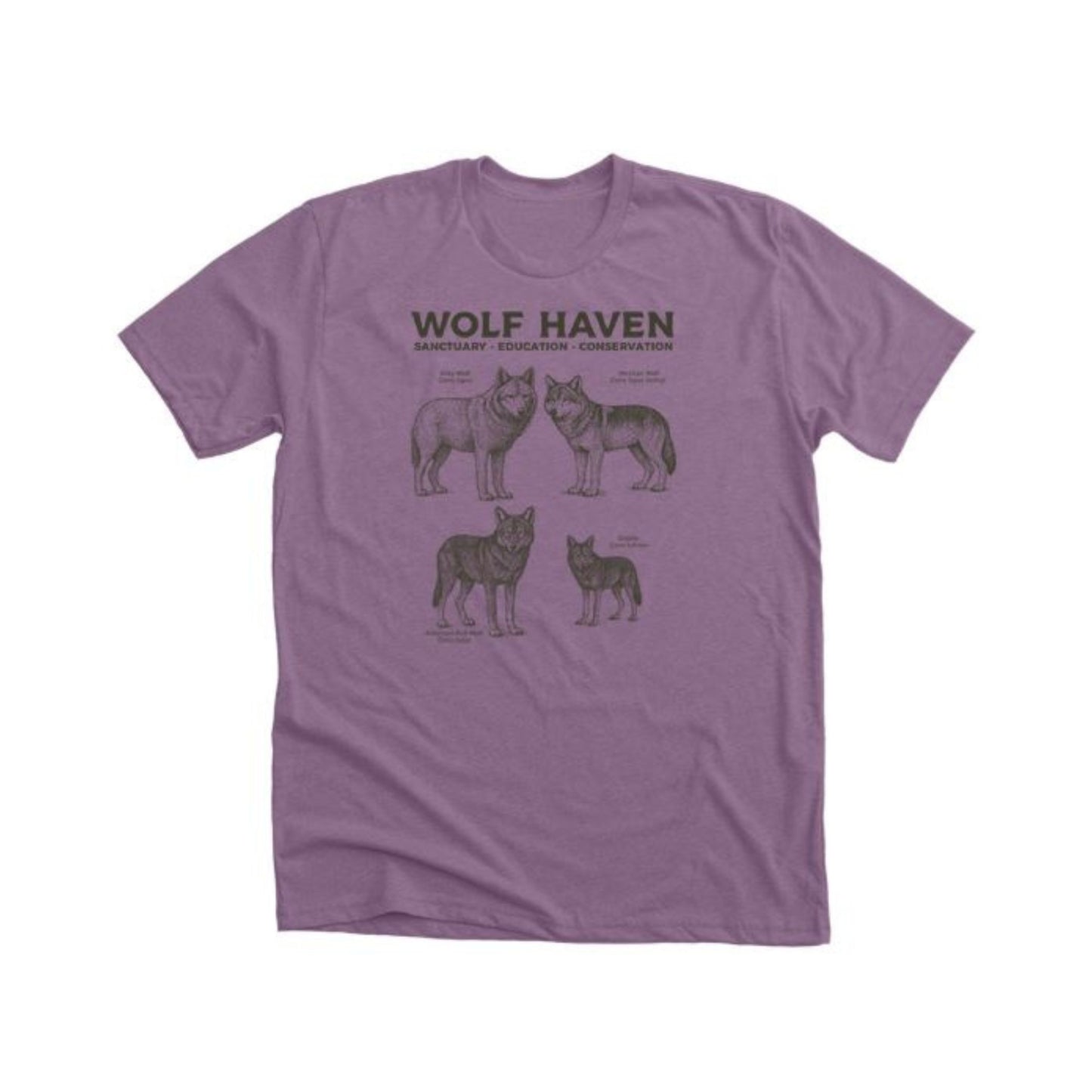 Canid Species Design by Wolf Haven X Bonfire