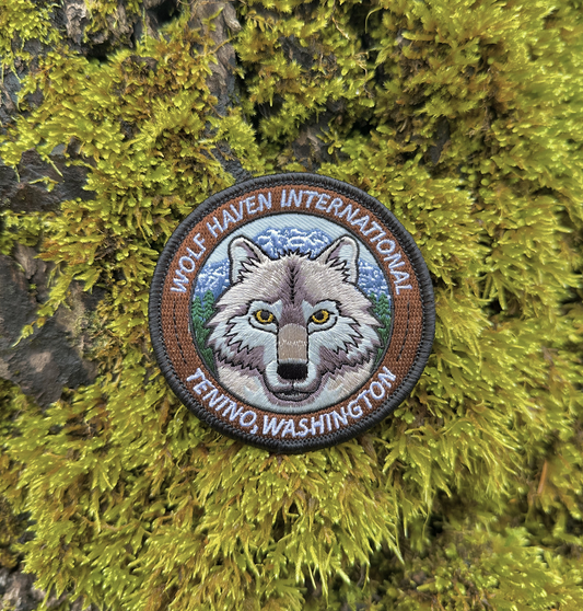 Wolf Head Patch