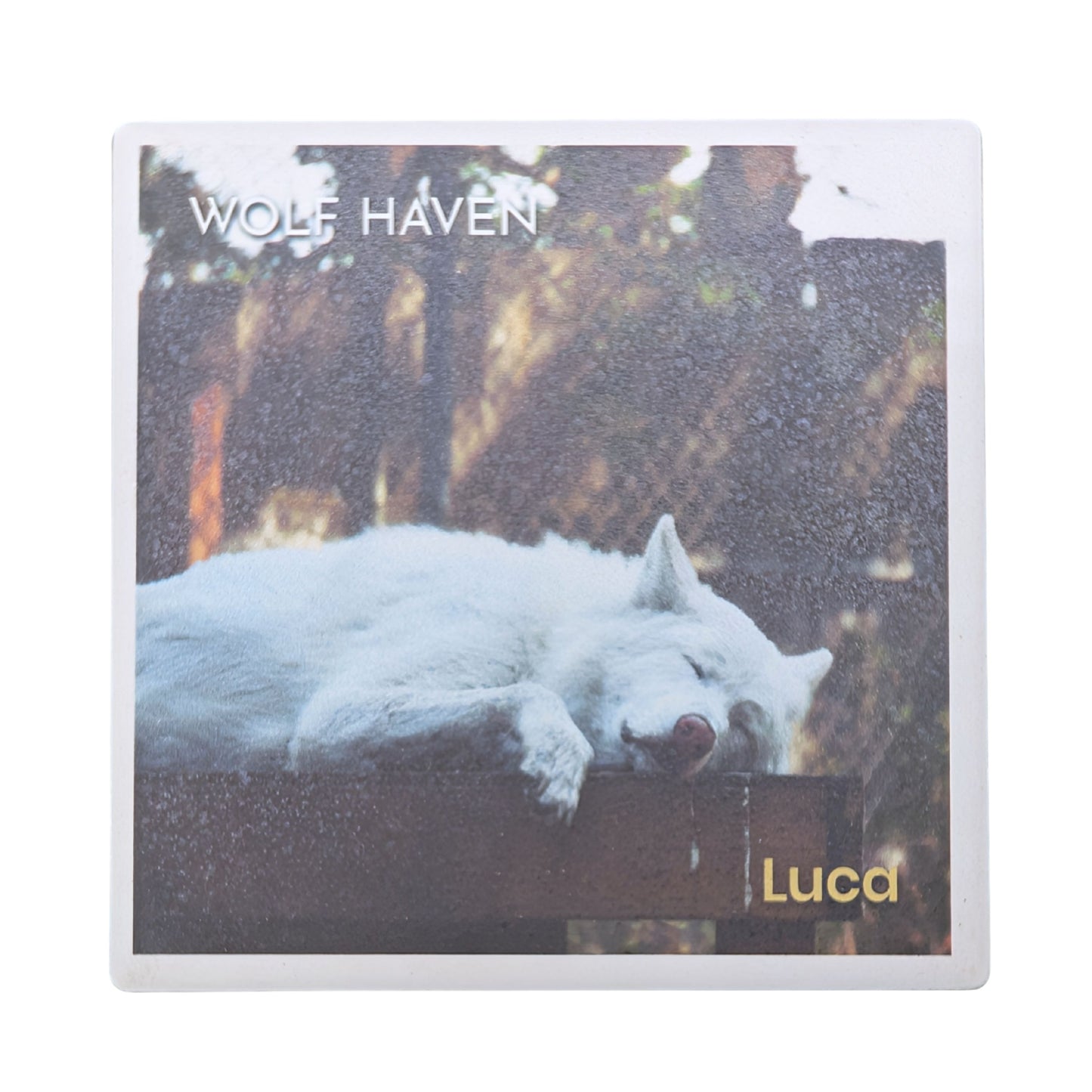 Ceramic Wolf Coaster