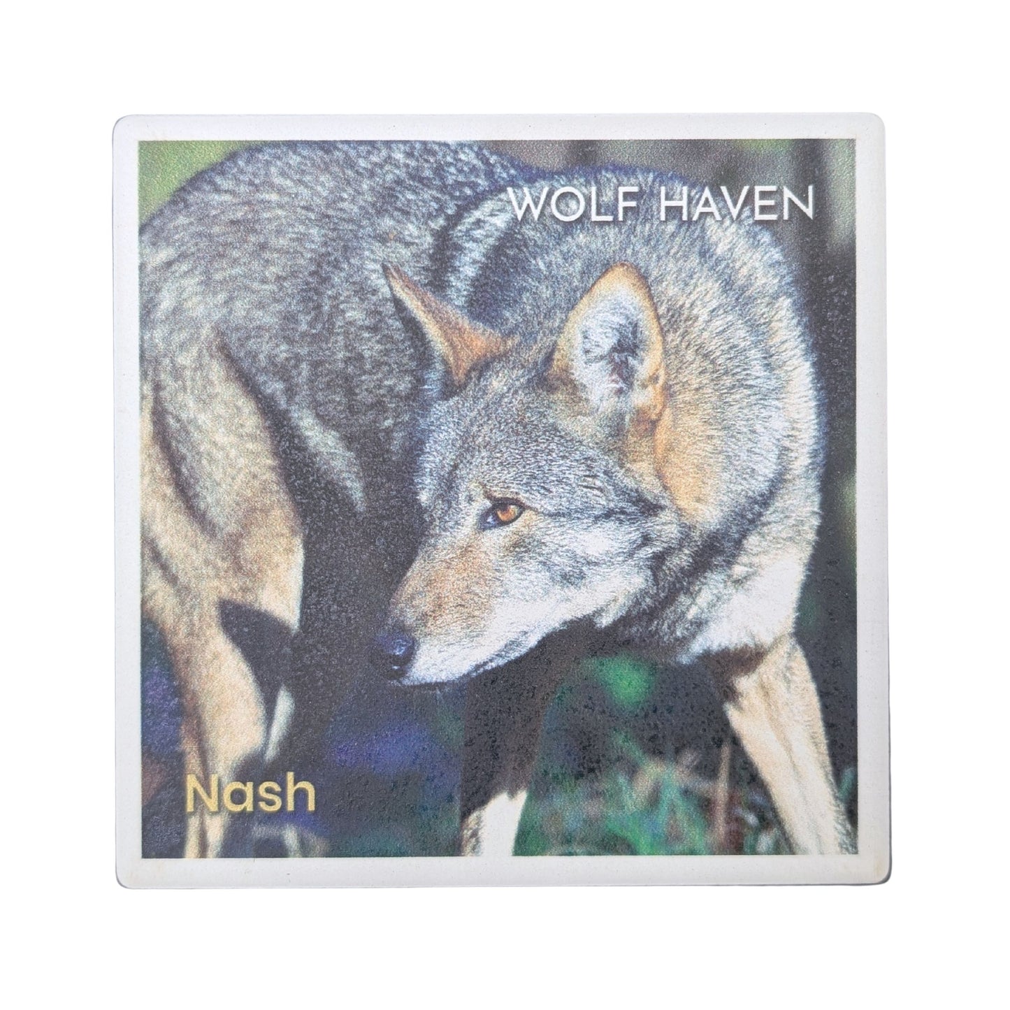 Ceramic Wolf Coaster
