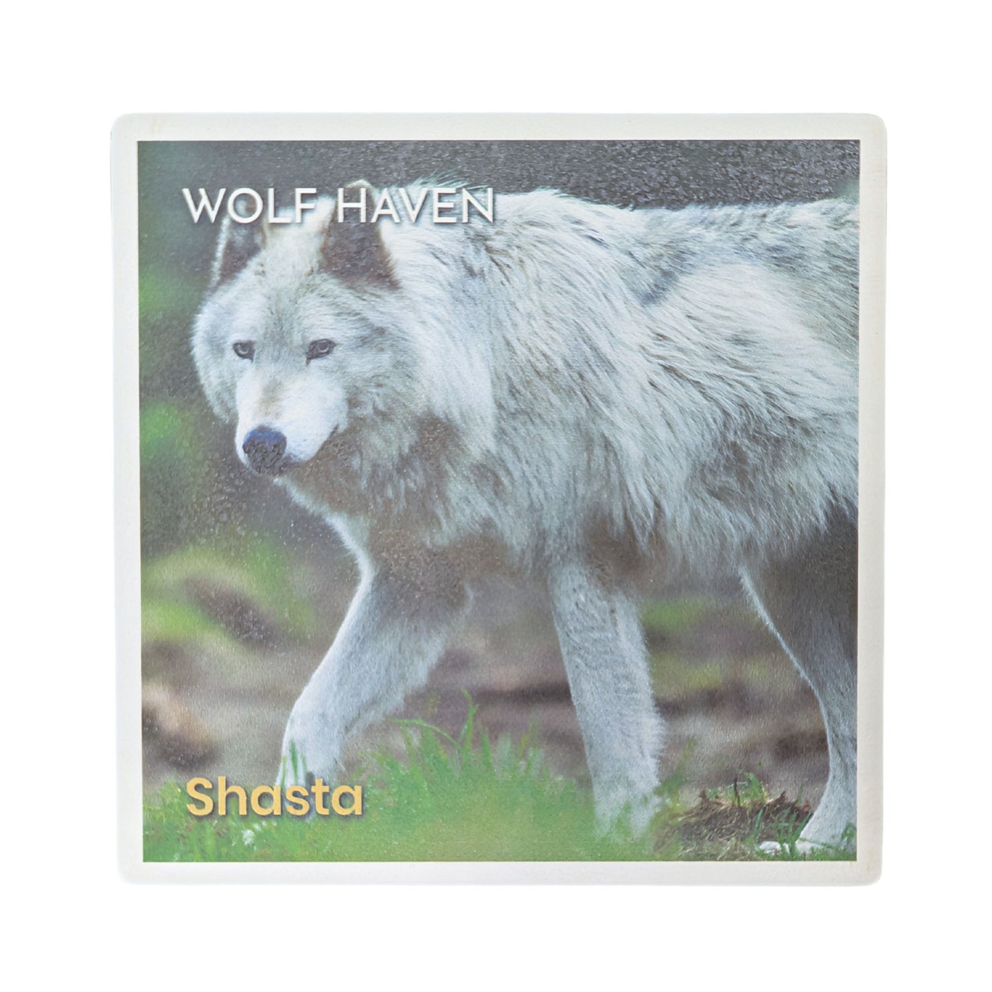 Ceramic Wolf Coaster