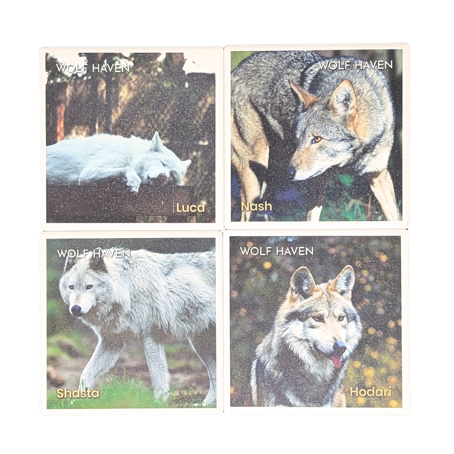 Ceramic Wolf Coaster