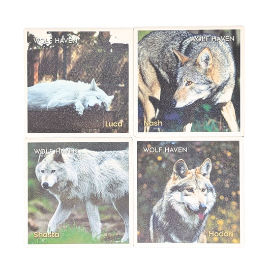 Ceramic Wolf Coaster