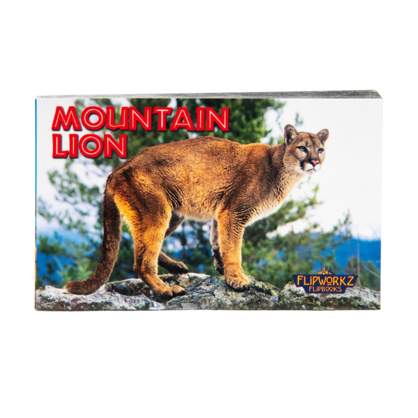Educational Wildlife Flipbook
