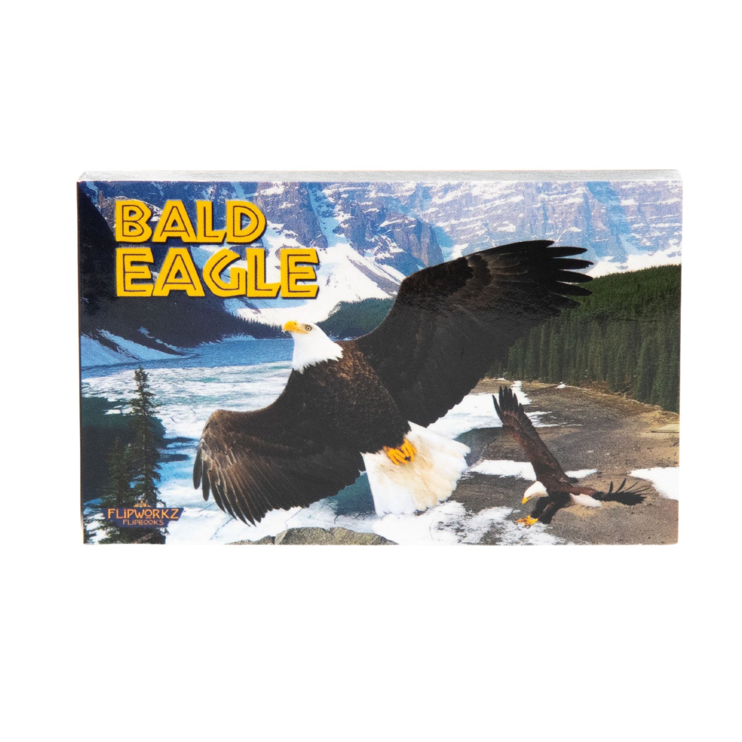 Educational Wildlife Flipbook