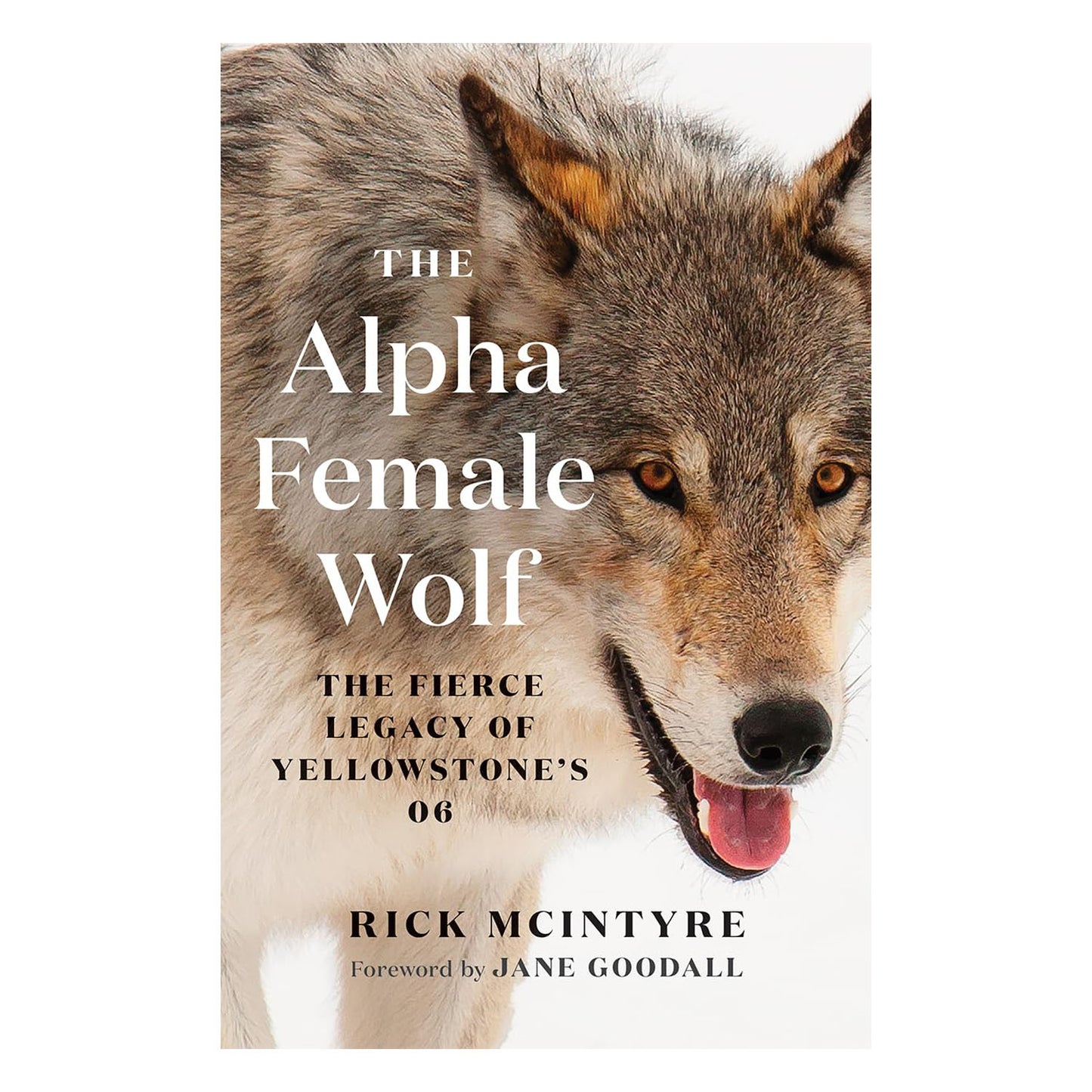 The Alpha Wolves of Yellowstone Series