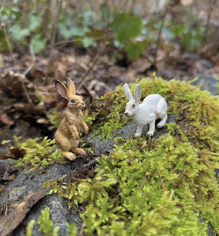 Prey Animal Figurines