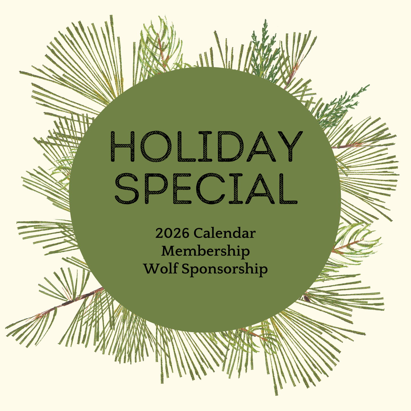 2025 Holiday Special