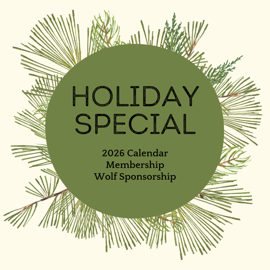 2025 Holiday Special