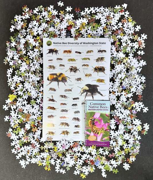 Save the Bees! Bundle