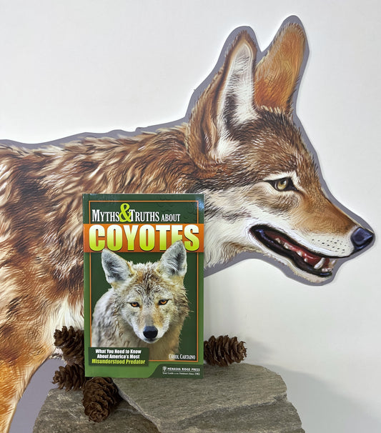 Myths & Truths About Coyotes: What You Need to Know About America's Most Misunderstood Predator