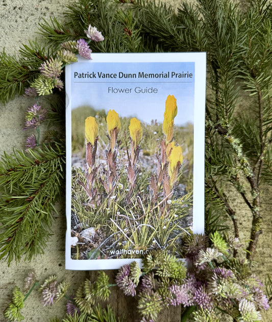 Prairie Flowers Booklet