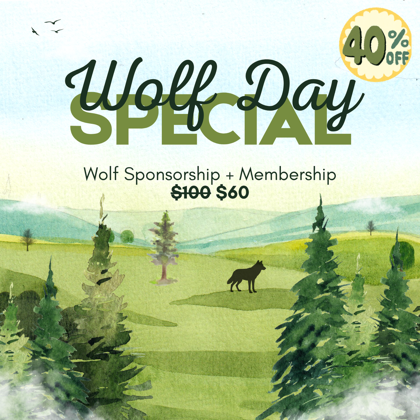 International Wolf Day Special