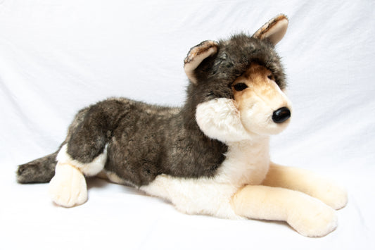 Montana the Wolf