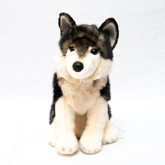 Atka the Mexican Wolf