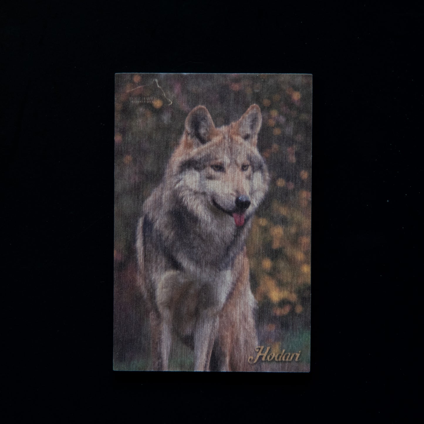 Resident Wolf Wood Magnet