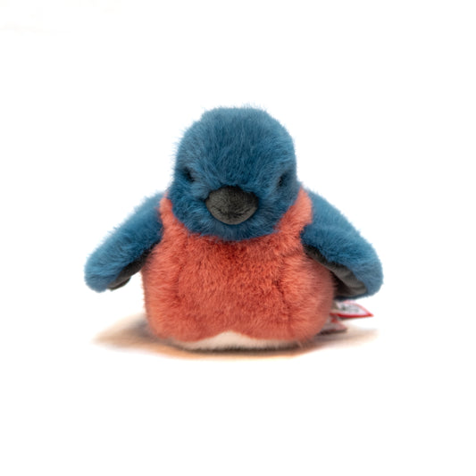 Bertie the Blue Bird