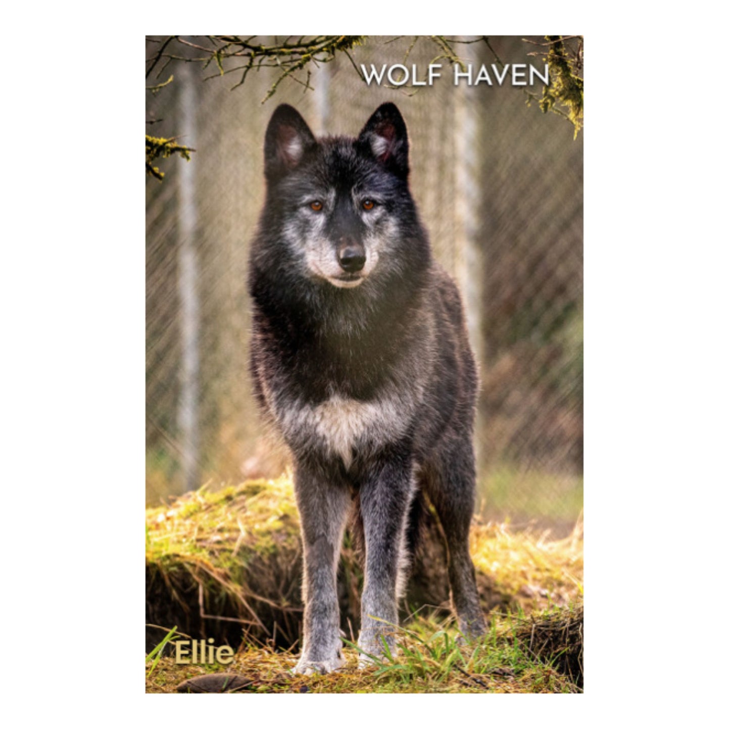 Hardcover Lined Journal