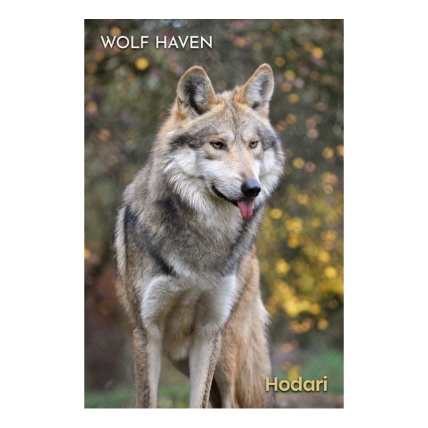 Hardcover Lined Journal